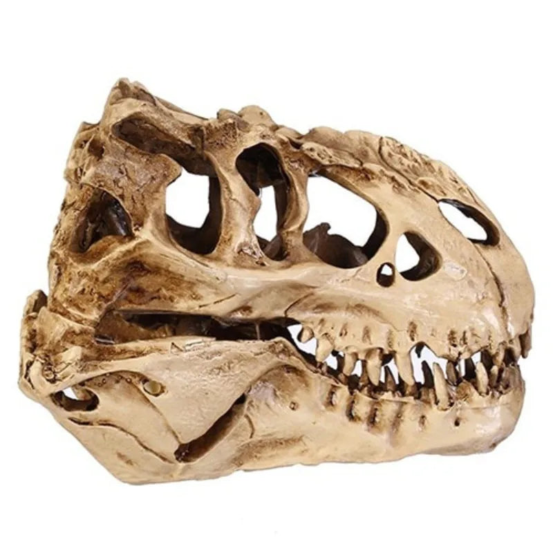 Resin Dinosaur Skull Fossil Model – Halloween & Room Decor Decorative Figurine Axl