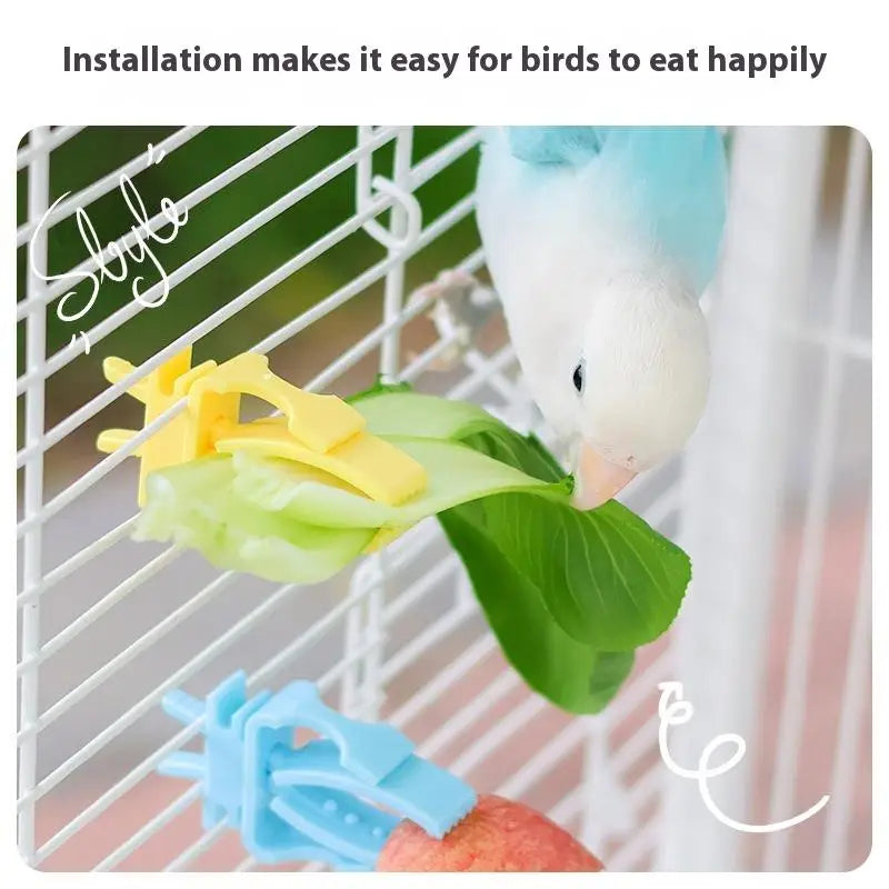 Parrot Bird Cage Food Clip Feeder – Fruit & Veggie Holder 2/4Pcs Bird Cage Feeder Axl