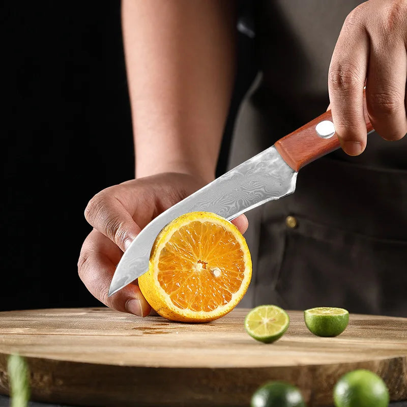 67-Layer Damascus Steel Knife – Paring & Utility Kitchen Set Damascus Kitchen Knife Axl