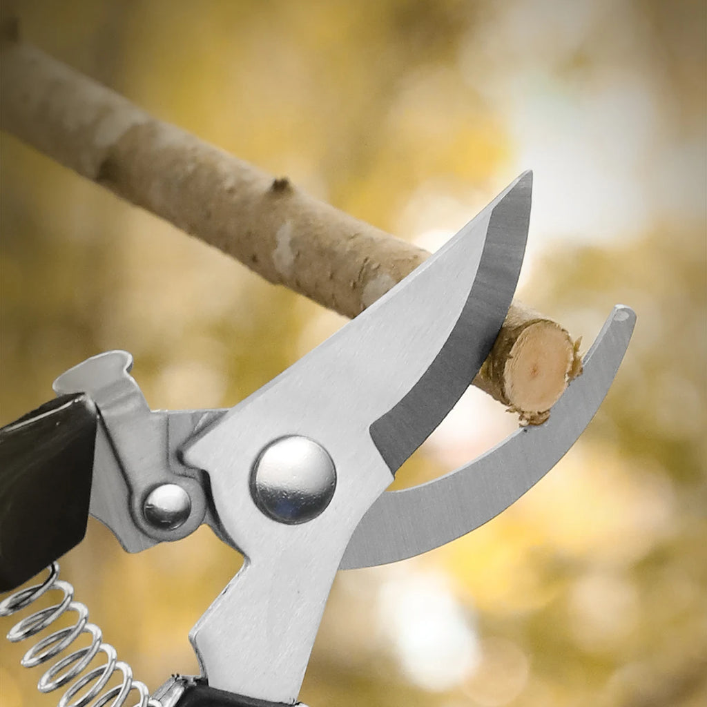 Stainless Steel Grafting & Pruning Shears | Fruit Tree Garden Tool Pruning Shears Axl