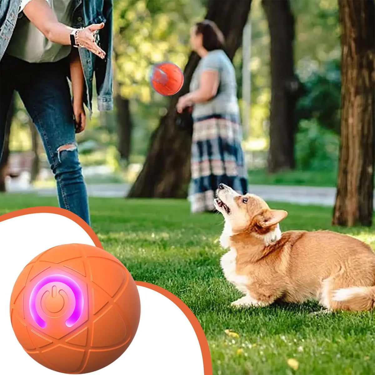 Interactive Auto-Rolling LED Ball Toy for Dogs & Cats Interactive Pet Toy Axl