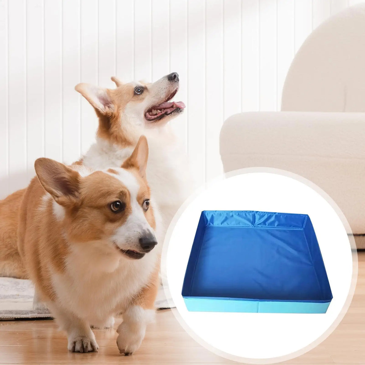Foldable Square Dog Bath Pool – Non-Inflatable PVC Pet Pool Foldable Pet Pool Axl