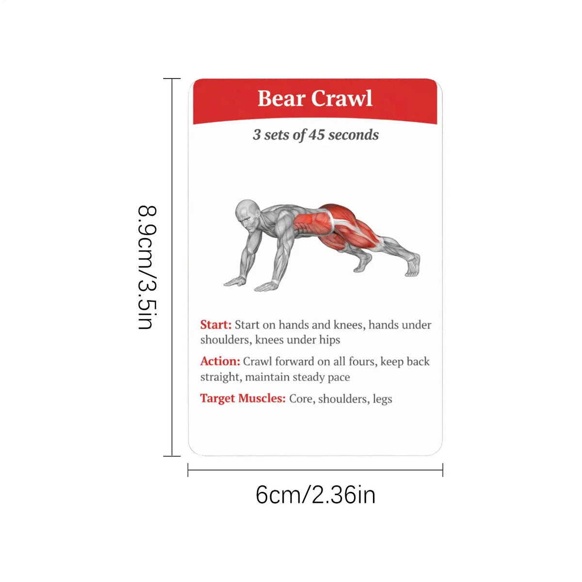 36-Piece Fitness Exercise Cards – Core & Aerobic Training Guide Fitness Training Cards Axl