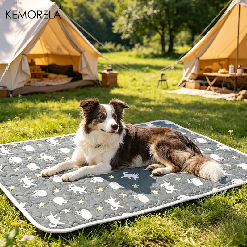 Ice Silk Pet Cooling Mat – Waterproof Dog & Cat Sleeping Pad Pet Cooling Mat Axl