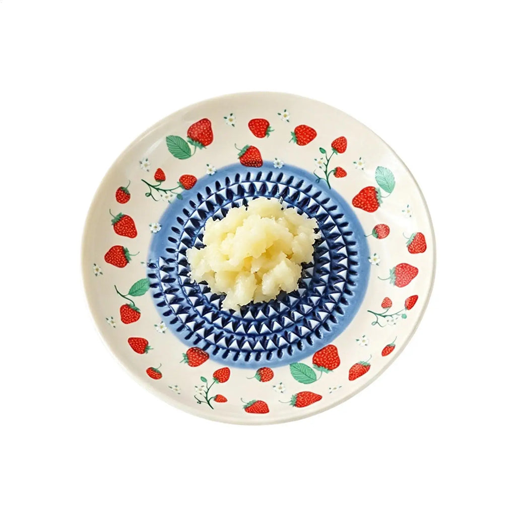 Ceramic Garlic Grater Plate – Manual Ginger, Cheese & Fruit Grater Ceramic Grater Plate Axl