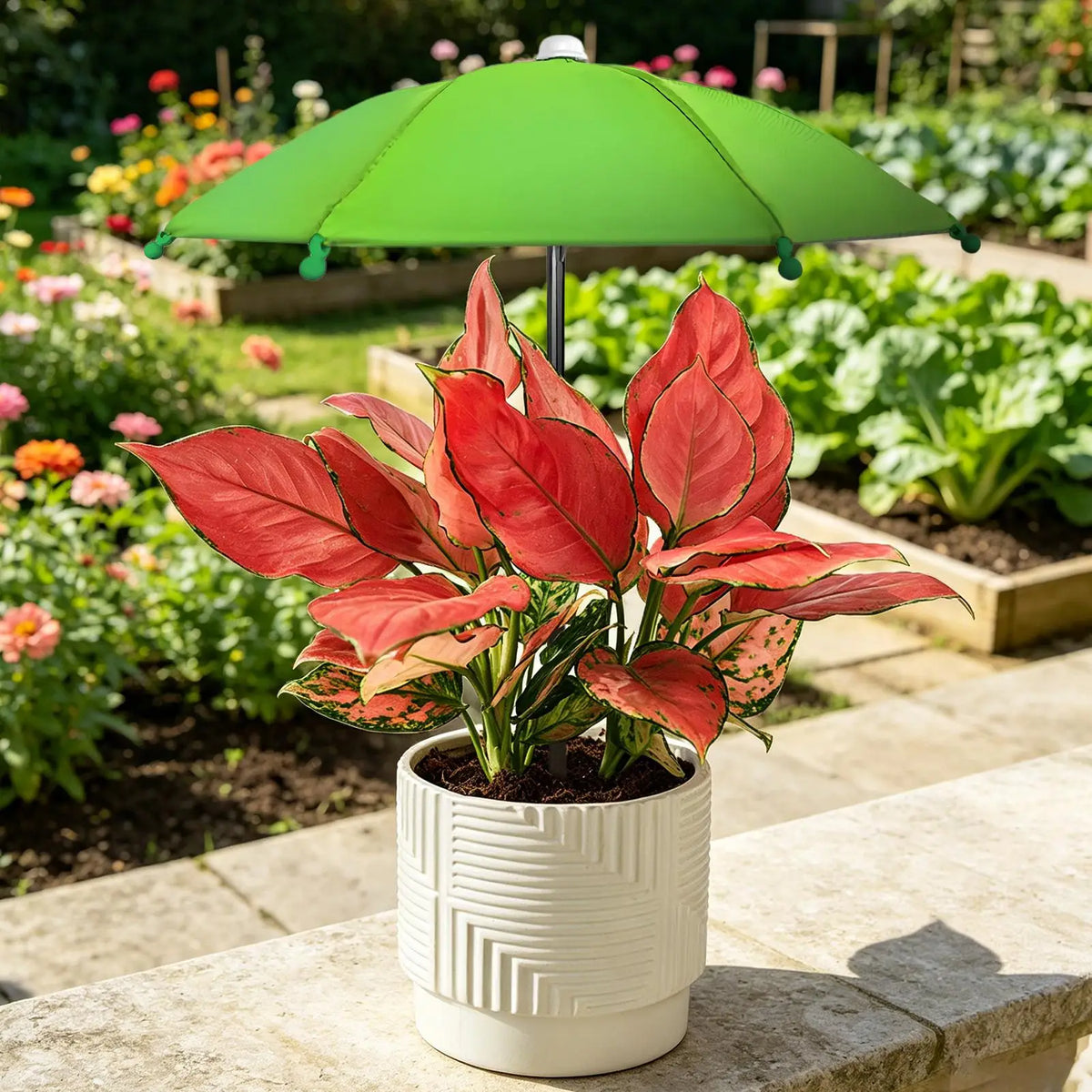 Adjustable Plant Shade Umbrella – UV & Waterproof Garden Parasol Garden Shade Parasol Axl