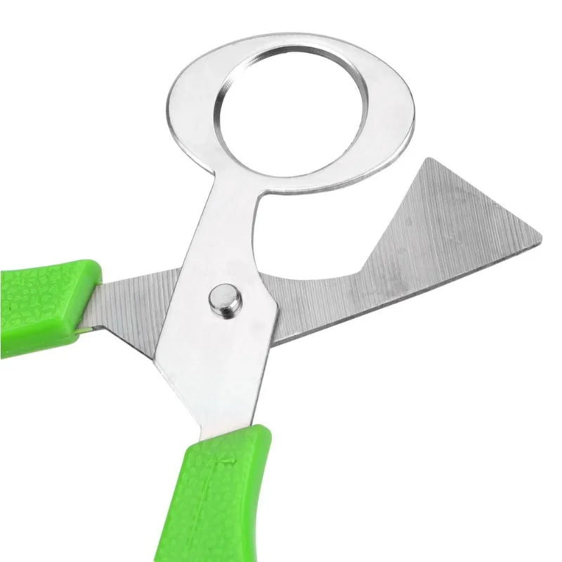 Quail Egg Shell Scissors & Cigar Cutter – Stainless Steel Egg Shell Scissors Axl