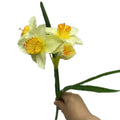 Artificial Yellow Daffodil Branch – 4-Head Silk Narcissus Stem Artificial Flower Stem Axl Light Yellow