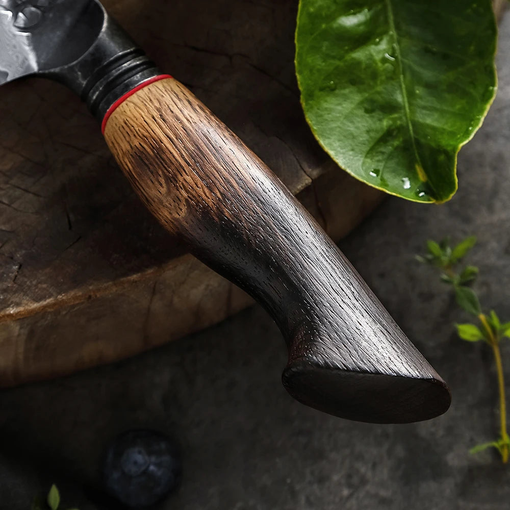 XINZUO 5.5" 67-Layer Damascus Steel Utility Knife | Mo Series Damascus Utility Knife Axl