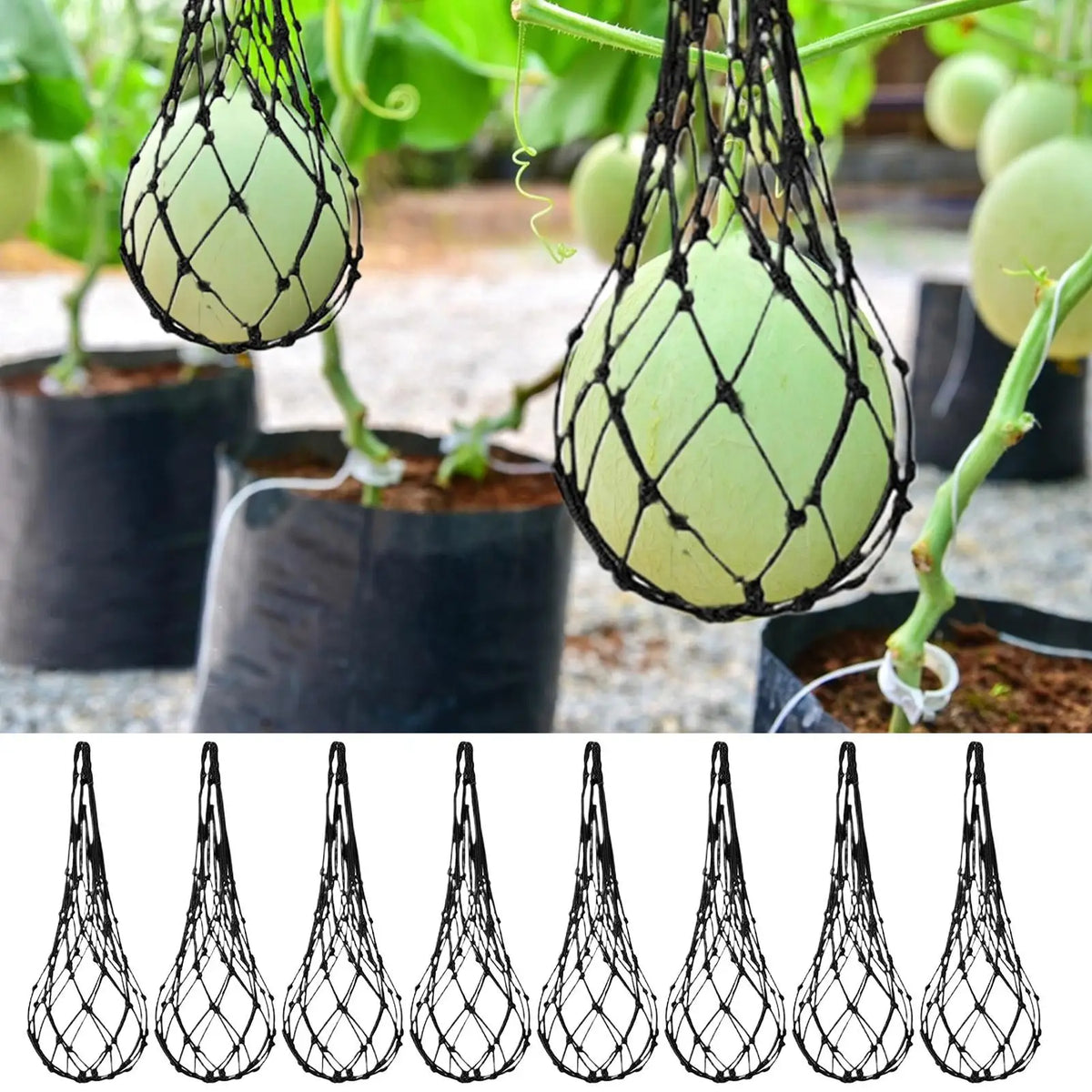 Watermelon Hammock Trellis Sling – 10-Piece Fruit Support Net Fruit Support Sling Axl