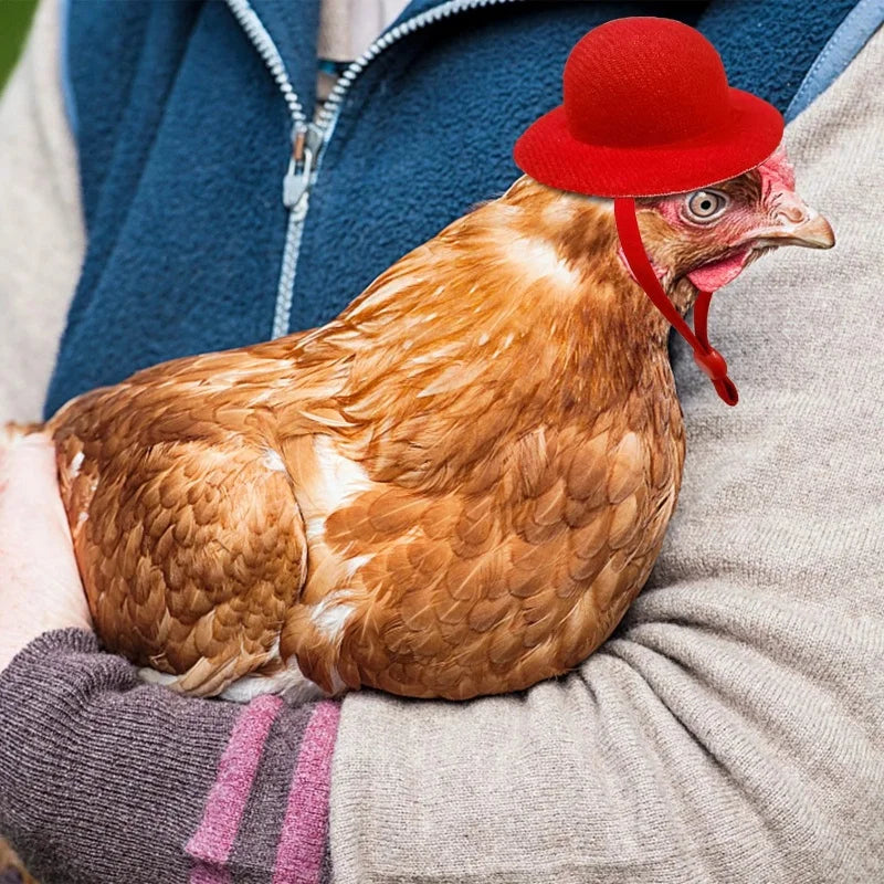 Chicken Hat for Hens & Small Pets – Adjustable Costume Top Hat Pet Costume Hat Axl