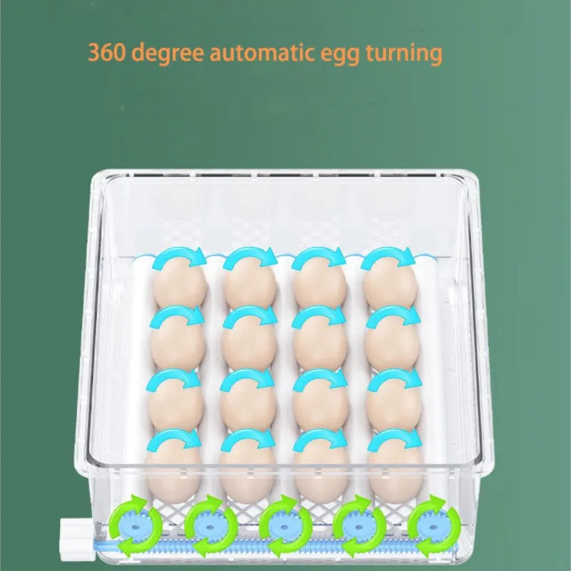 Automatic Egg Incubator – 16 Chicken/12 Duck Eggs, Auto Turner Egg Incubator Axl