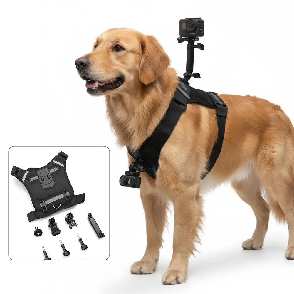 Pet Action Camera Harness Mount – GoPro, DJI & Insta360 Pet Camera Harness Axl