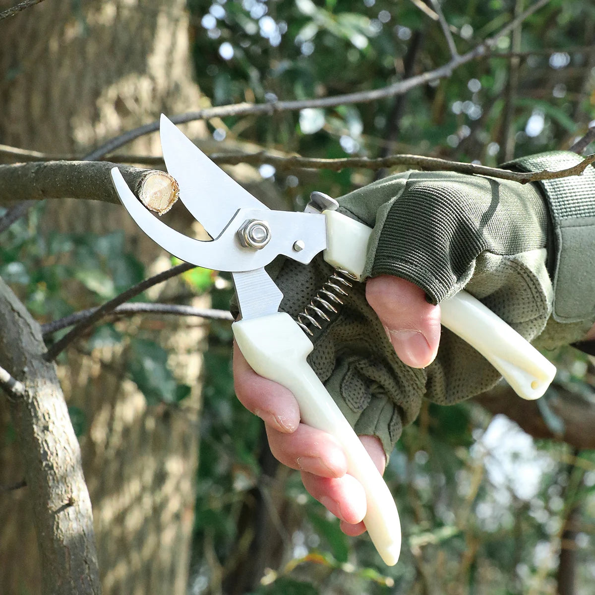 SHENJIU Pruning Scissors – Professional Bonsai & Garden Trimmer Pruning Scissors Axl