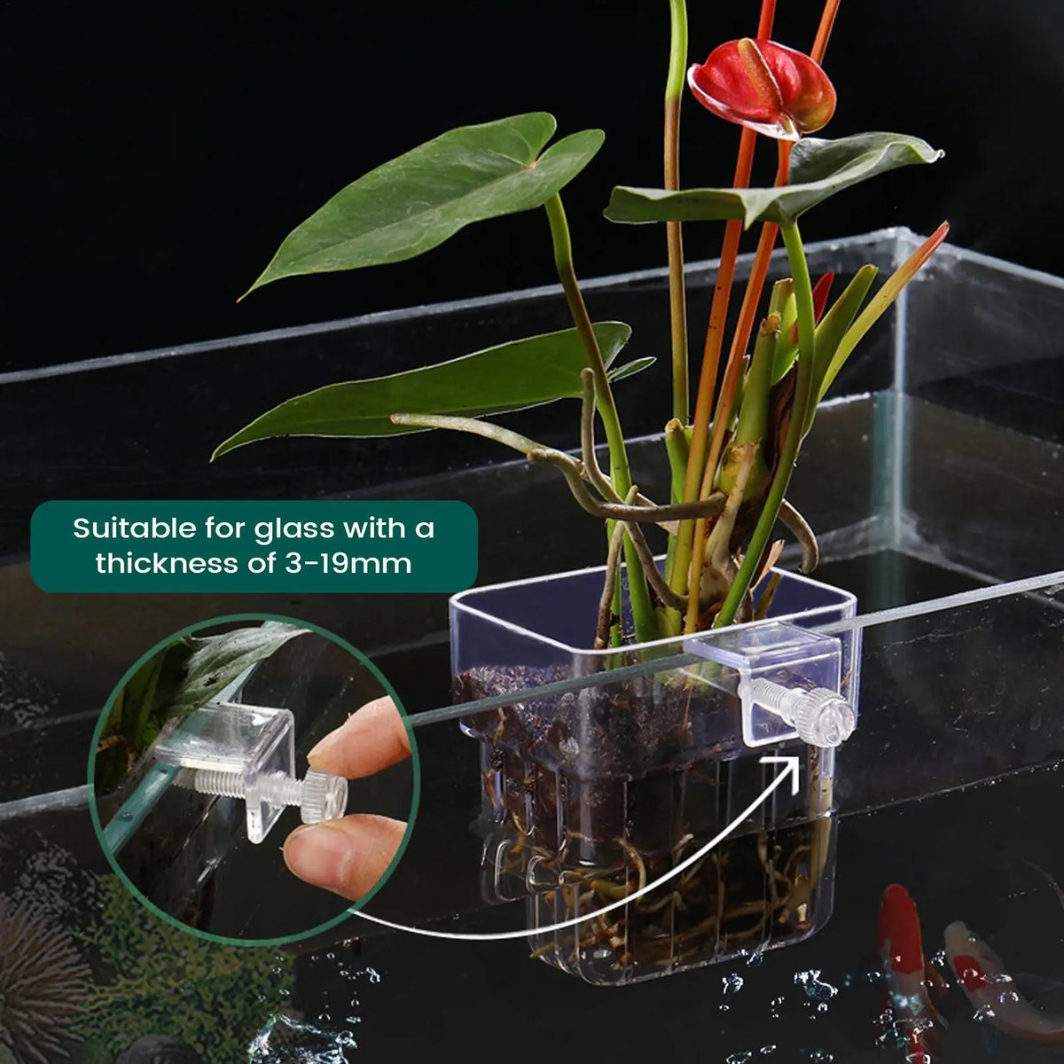 Aquarium Wall-Mount Plant Holder – Transparent Hydroponic Basket Aquarium Plant Holder Axl