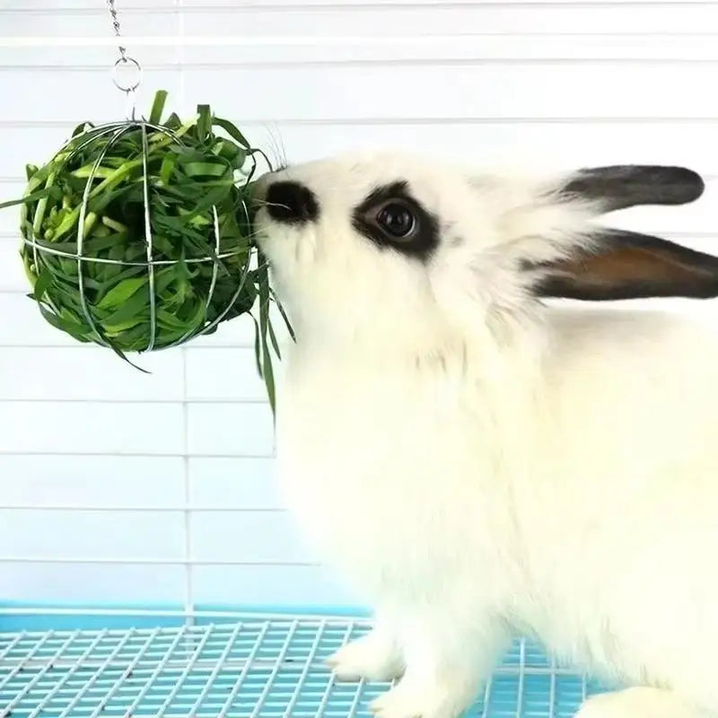 Stainless Steel Hanging Hay Feeder Ball for Small Pets Small Pet Feeder Axl
