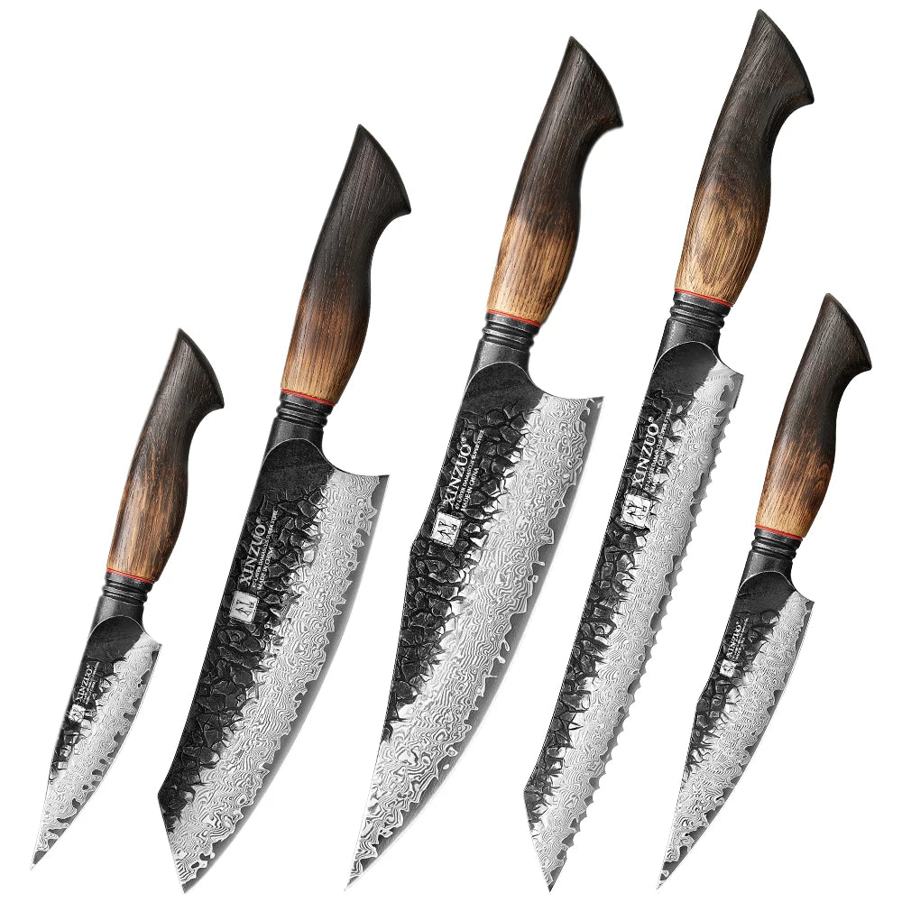 XINZUO 8-Piece Damascus Steel Kitchen Knife Set | 67 Layers Kitchen Knife Set Axl 5PCS Knife Set