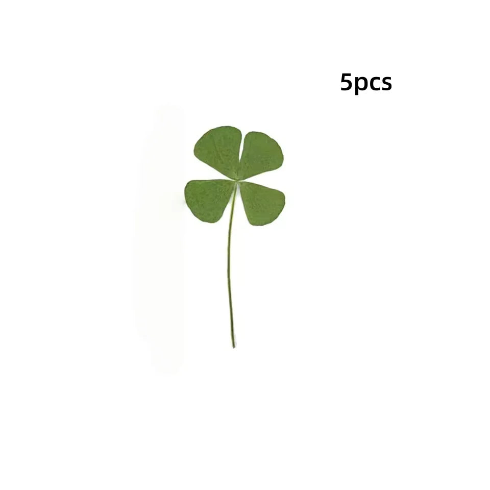 5-Pack Four-Leaf Clover Bookmarks – Waterproof Leaf Vein Decorative Bookmark Axl 5PCS