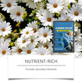 Hydrangea Fertilizer – Acid-Loving Plant Soil Amendment 100g Garden Fertilizer Axl Default Title