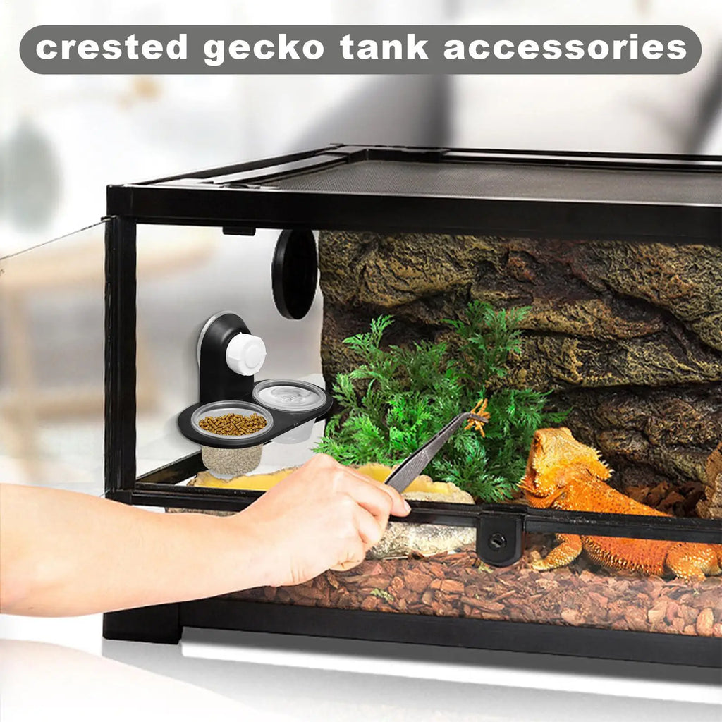 Reptile Food & Water Dish | 4-Cup Feeder Tray for Gecko Lizard Reptile Feeder Dish Axl