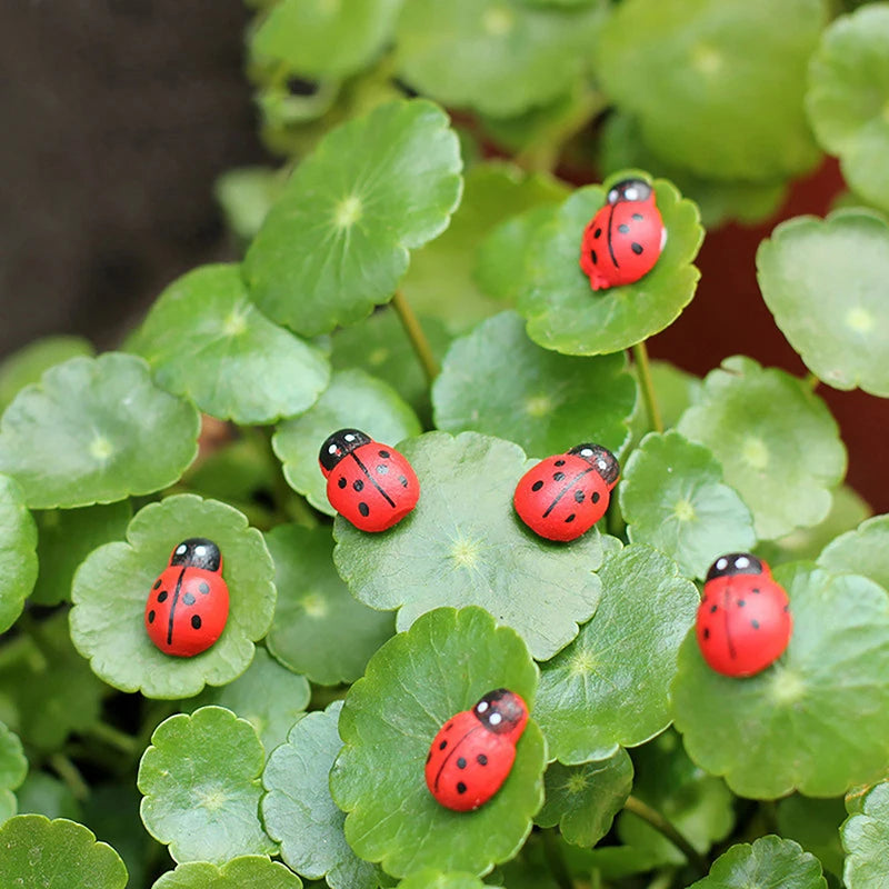 Mini Wooden Ladybug Sticker Ornaments 50/100 Pcs – DIY Craft Decor DIY Craft Ornaments Axl