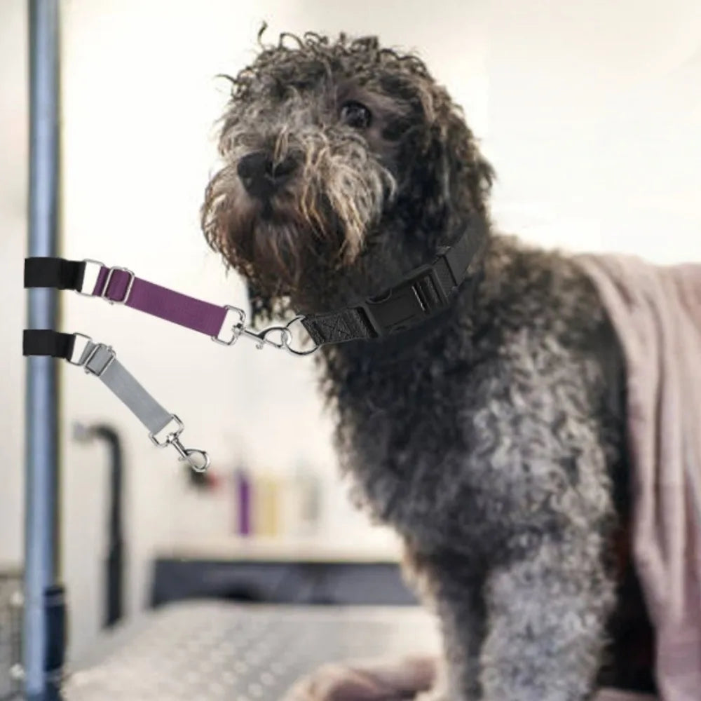 Adjustable Dog Grooming Loop Nylon Extension Strap Dog Grooming Strap Axl