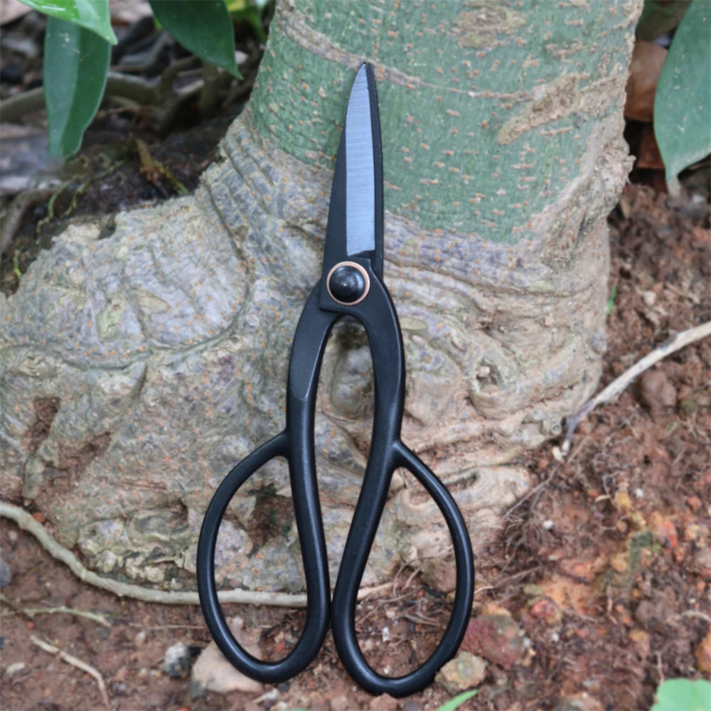 High Carbon Steel Pruning Shears – Fruit Tree & Garden Pruner Pruning Shears Axl Branch Scissors-Big