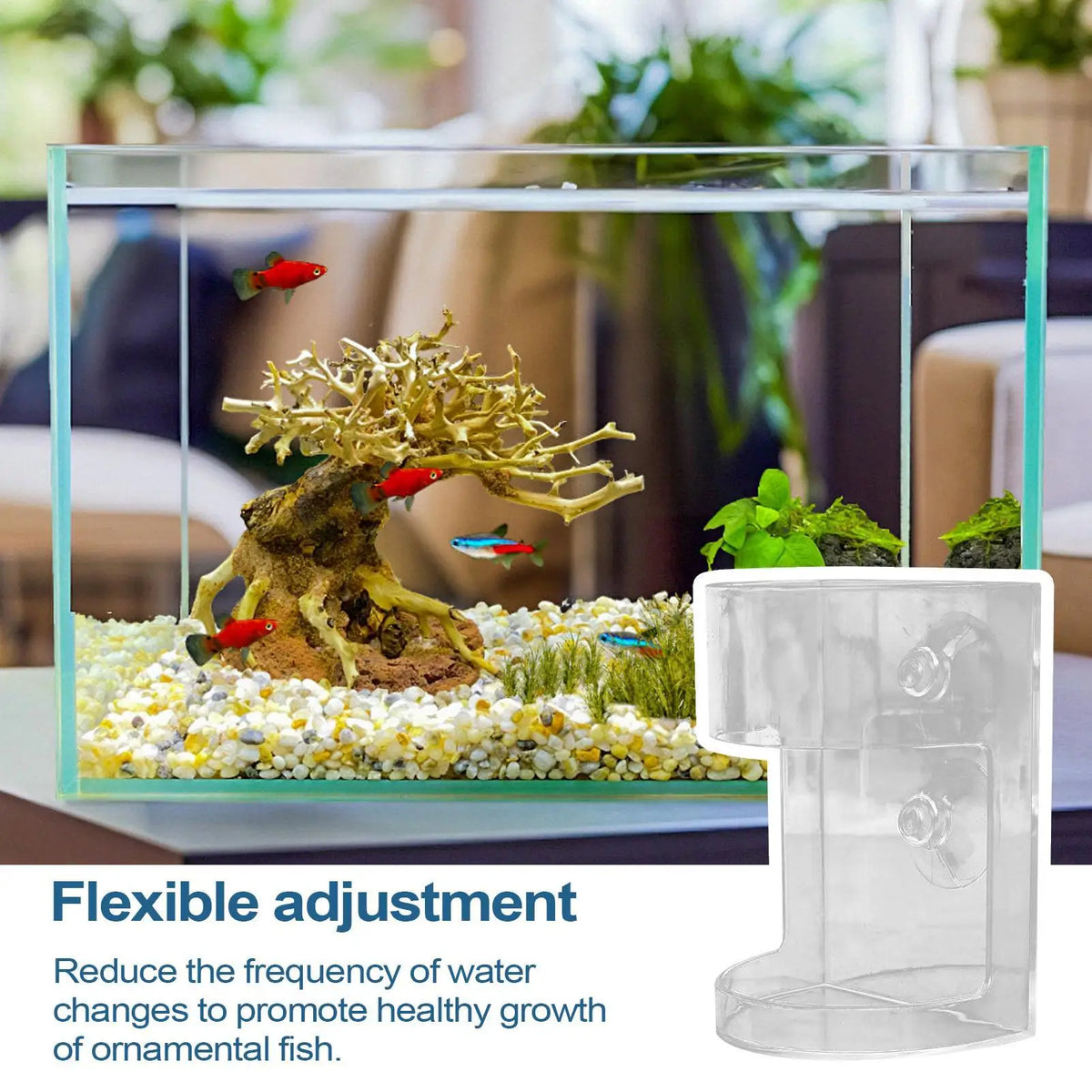Large Capacity Shrimp Feeding Dish | Clear Aquarium Fish Feeder Aquarium Fish Feeder Axl