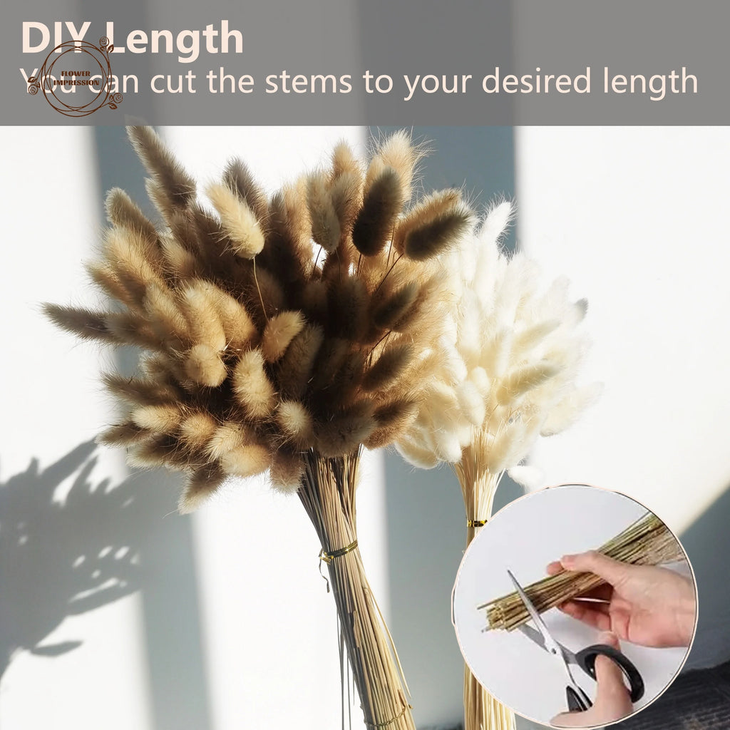 120pcs Dried Rabbit Tail Grass Pampas Bouquet | Boho Decor Dried Flower Bouquet Axl