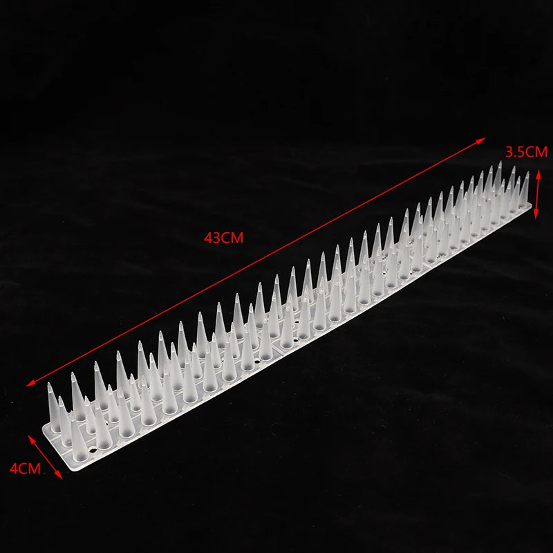 Transparent Plastic Bird Repellent Spikes | Garden Fence Deterrent Bird Deterrent Spikes Axl