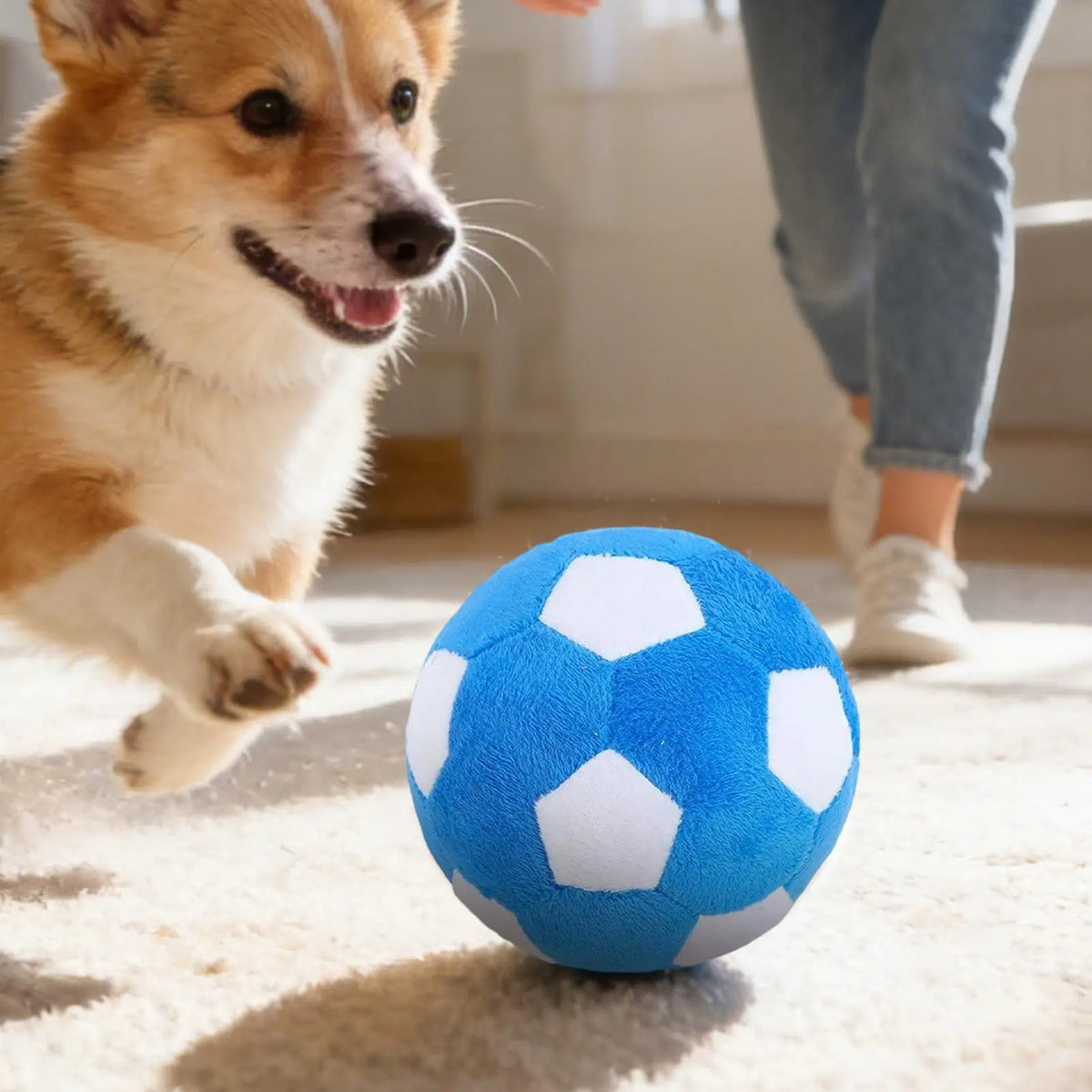 Plush Squeaky Soccer Ball Dog Toy – Indoor & Outdoor Play Squeaky Dog Toy Axl