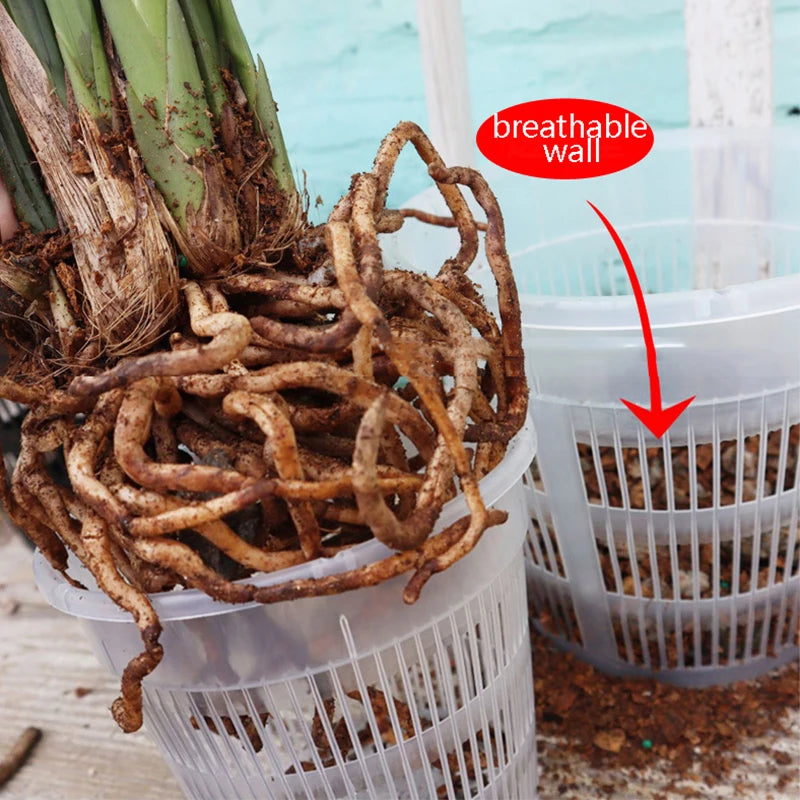 Transparent Mesh Orchid Pot 11/14cm | Breathable Plastic Flower Pot Mesh Orchid Pot Axl