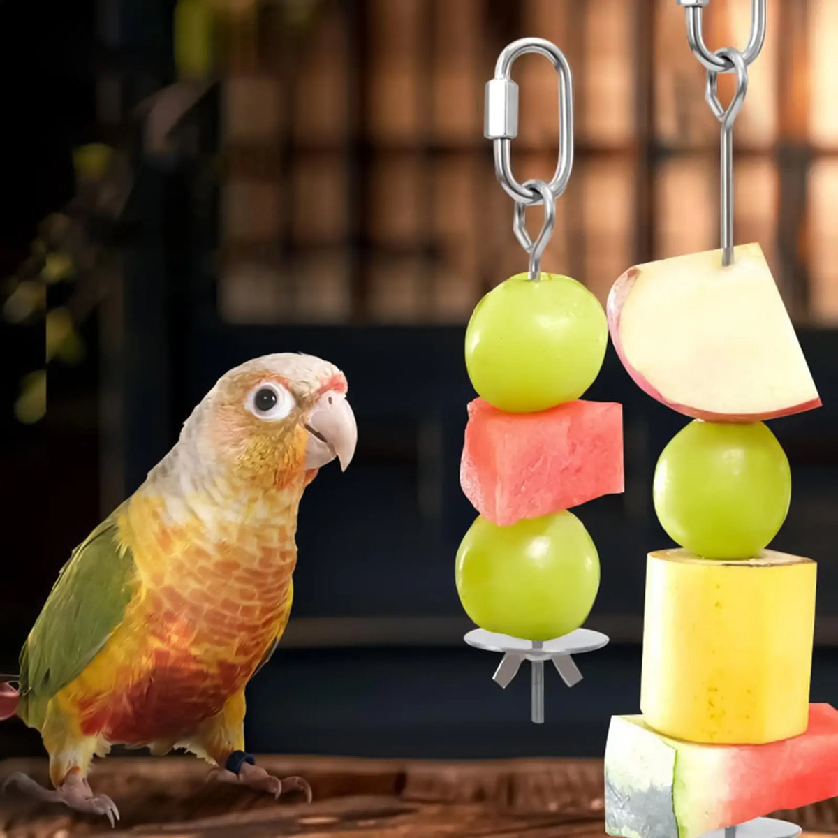 Stainless Steel Bird Cage Food Skewer – Fruit & Veggie Holder Bird Cage Feeder Axl