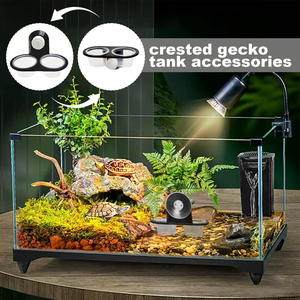 Reptile Food & Water Dish | 4-Cup Feeder Tray for Gecko Lizard Reptile Feeder Dish Axl