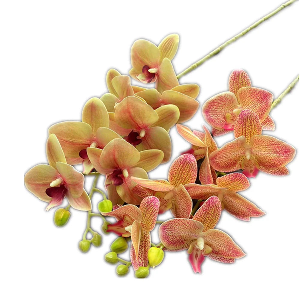 Artificial Phalaenopsis Orchid Branch – 7 Heads, Real Touch 69cm Artificial Flower Stem Axl