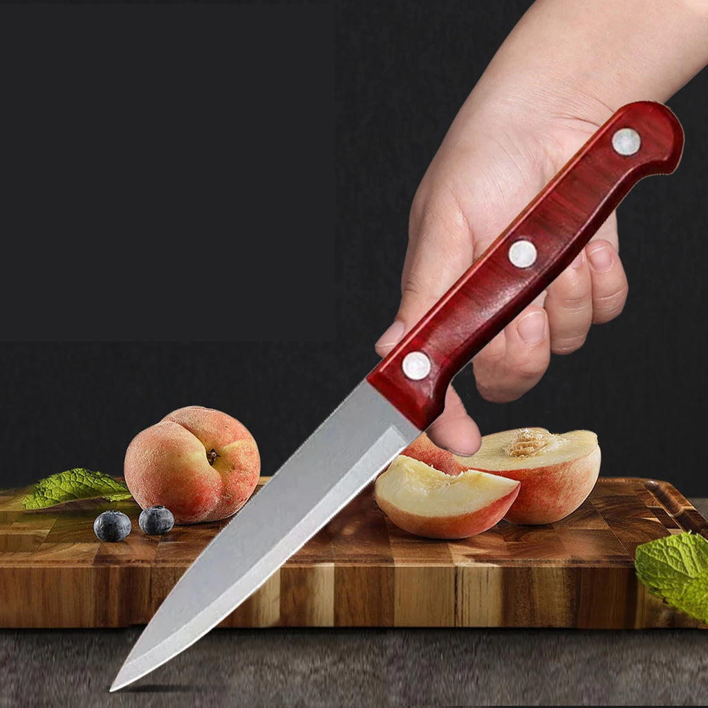 Sharp Stainless Steel Paring Knife – Fruit & Kitchen Knife Paring Knife Axl