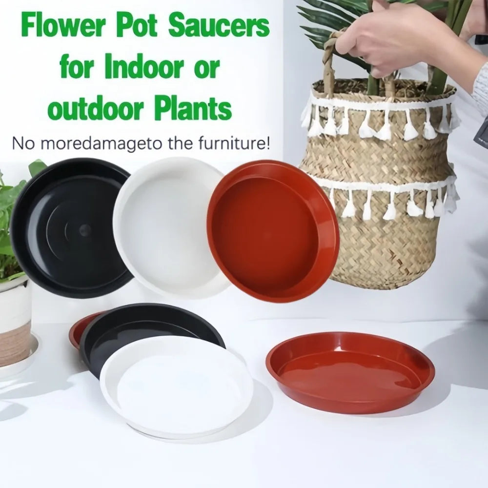 6-Pack Round Plastic Plant Drip Trays 16cm – Indoor Saucers Plant Drip Trays Axl
