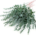 25 Pcs Wine Red Artificial Eucalyptus Branches – Faux Foliage Artificial Plant Stems Axl Green