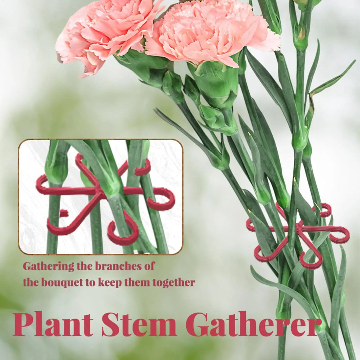 4-Piece Adjustable Plant Support Clips for Climbing Stems Plant Support Clips Axl