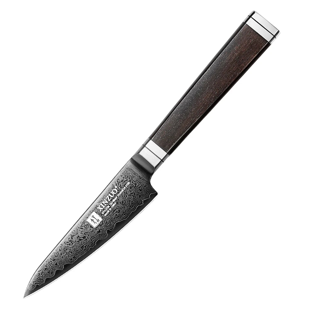 XINZUO 5-Piece 67-Layer Damascus Steel Kitchen Knife Set Damascus Knife Set Axl Paring Knife