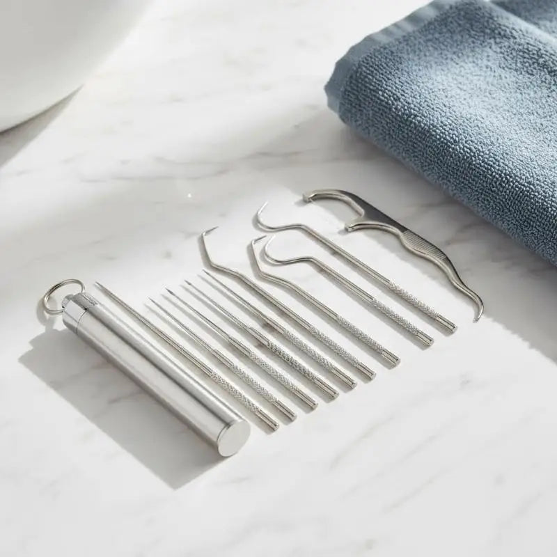 Reusable Stainless Steel Toothpick Kit – 10 Picks & Case Oral Care Kit Axl
