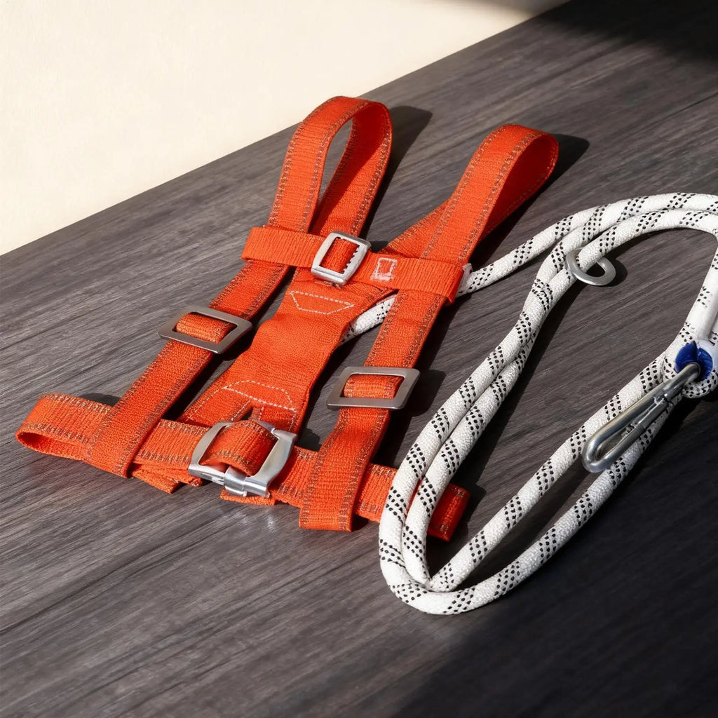 3M Double Strap Safety Harness – Adjustable Fall Protection Safety Harness Axl
