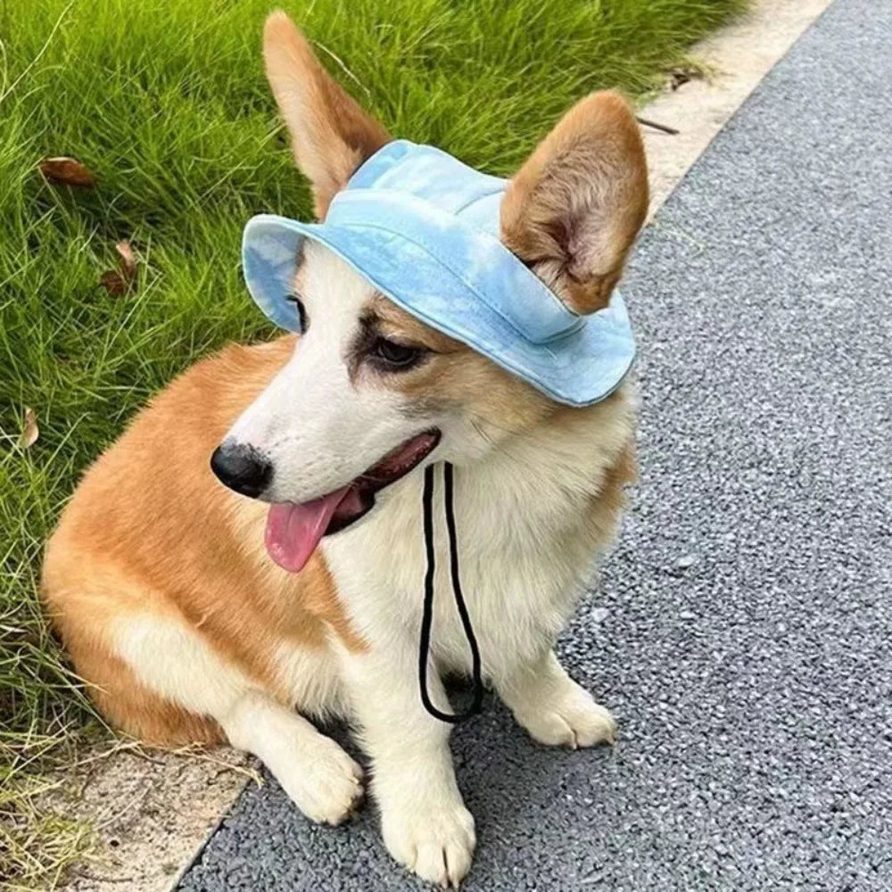 Dog Sun Hat – Breathable Polyester Cap for Small & Medium Dogs Dog Sun Hat Axl