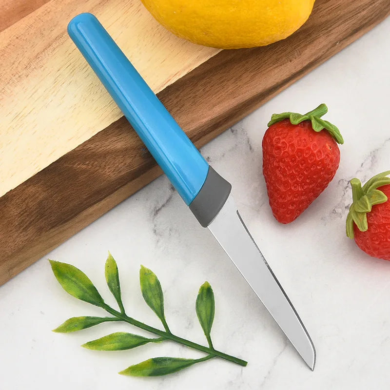 4-Piece Stainless Steel Paring Knife Set – Colorful Fruit Knives Paring Knife Set Axl
