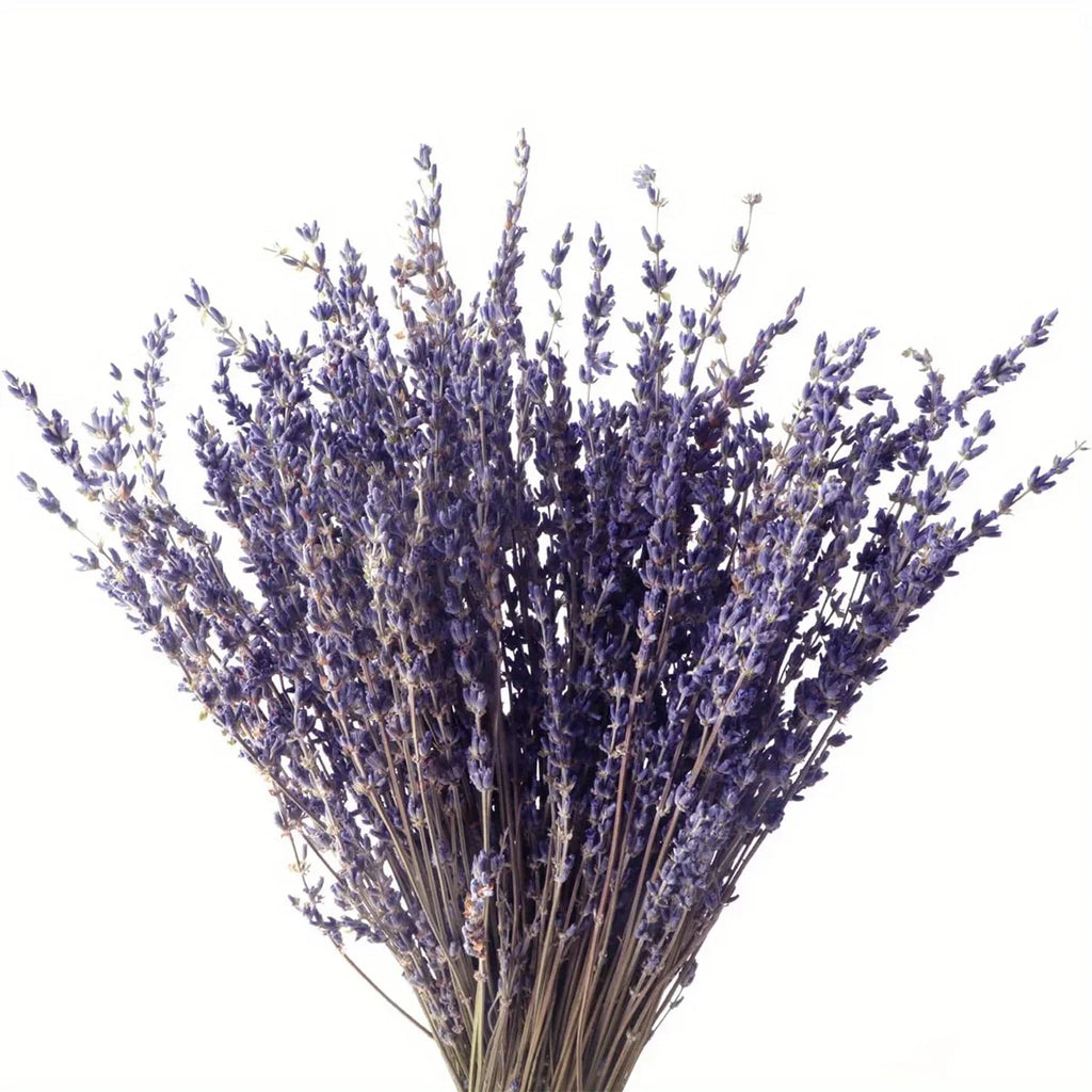 Natural Dried Lavender Bouquet | Wedding & Home Décor Gift Dried Flower Bouquet Axl Natural lavender 50g