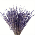 Natural Dried Lavender Bouquet | Wedding & Home Décor Gift Dried Flower Bouquet Axl Natural lavender 50g