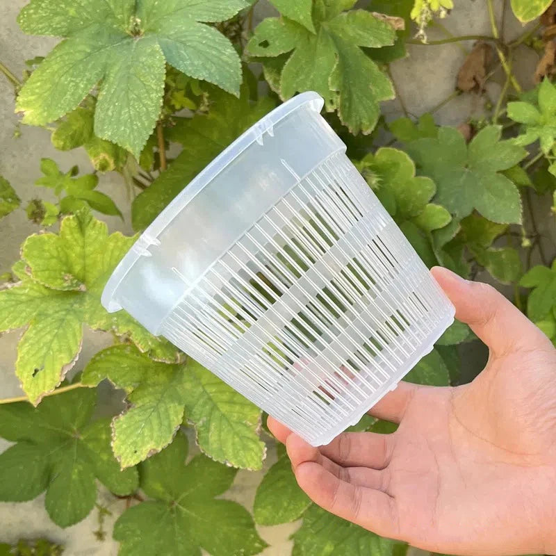 Transparent Mesh Orchid Pot 11/14cm | Breathable Plastic Flower Pot Mesh Orchid Pot Axl