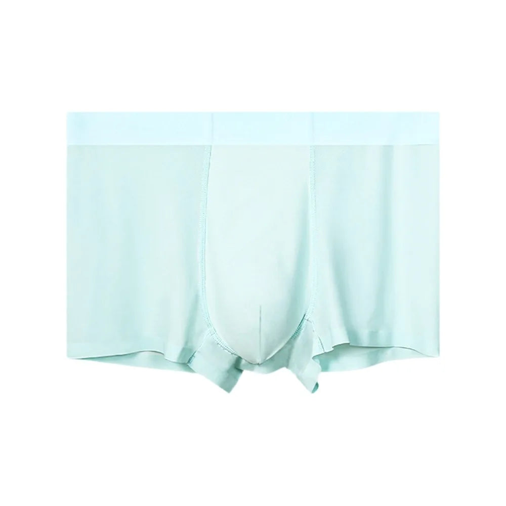 Men's Ice Silk Boxer Briefs – Soft Nylon Underwear L–4XL Men's Boxer Briefs Axl Light Blue 2XL