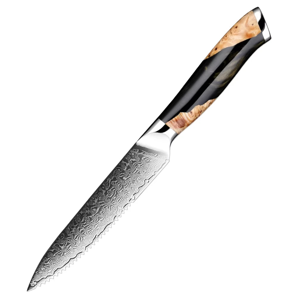 XITUO 7-Piece Damascus Steel Kitchen Knife Set | Ultra Sharp Kitchen Knife Set Axl Steak knife