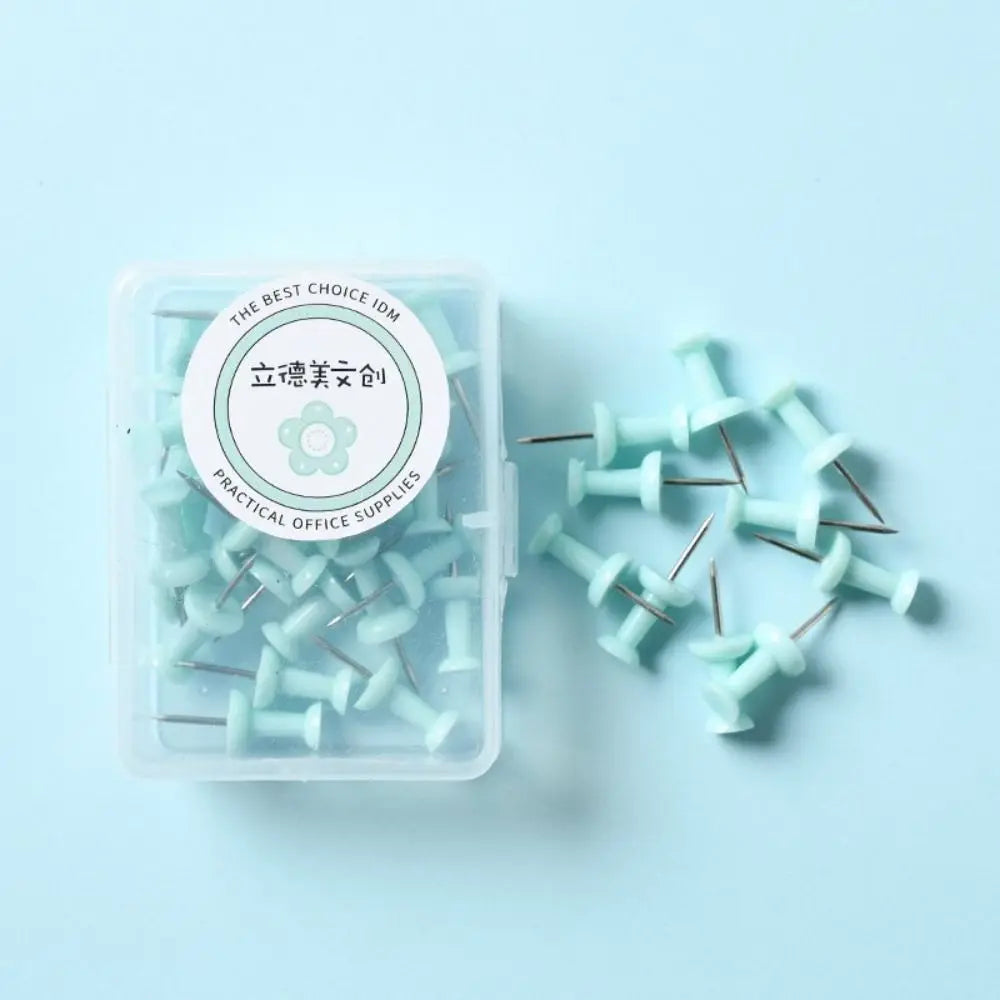 Macaron Color Pushpins – Pastel Plastic Thumb Tacks for Boards Decorative Pushpins Axl Green-S-40pcs-box